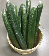Cucumbers - Large