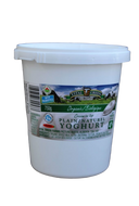 Yogurt - Plain