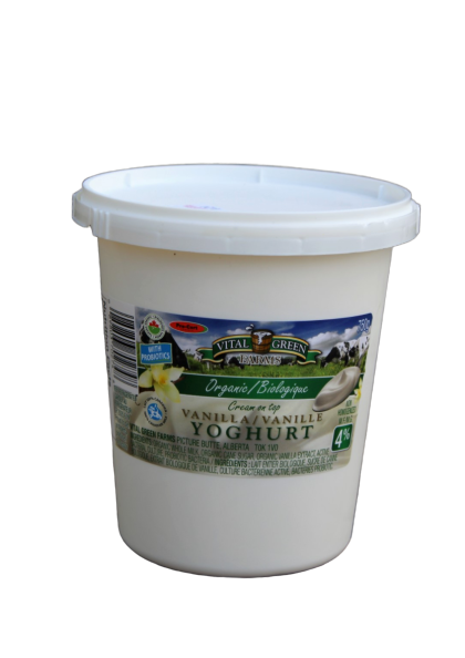 Yogurt - Vanilla